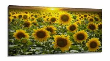 Quadro Decorativo Girassóis Grandes em Tecido Canvas 130x60  Sala Quarto