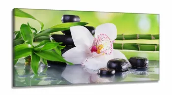 Quadro Decorativo Orquídea Fundo Verde em Tecido Canvas 130x60