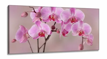 Quadro Decorativo Orquídeas Rosa em Tecido Canvas 130x60  Sala Quarto