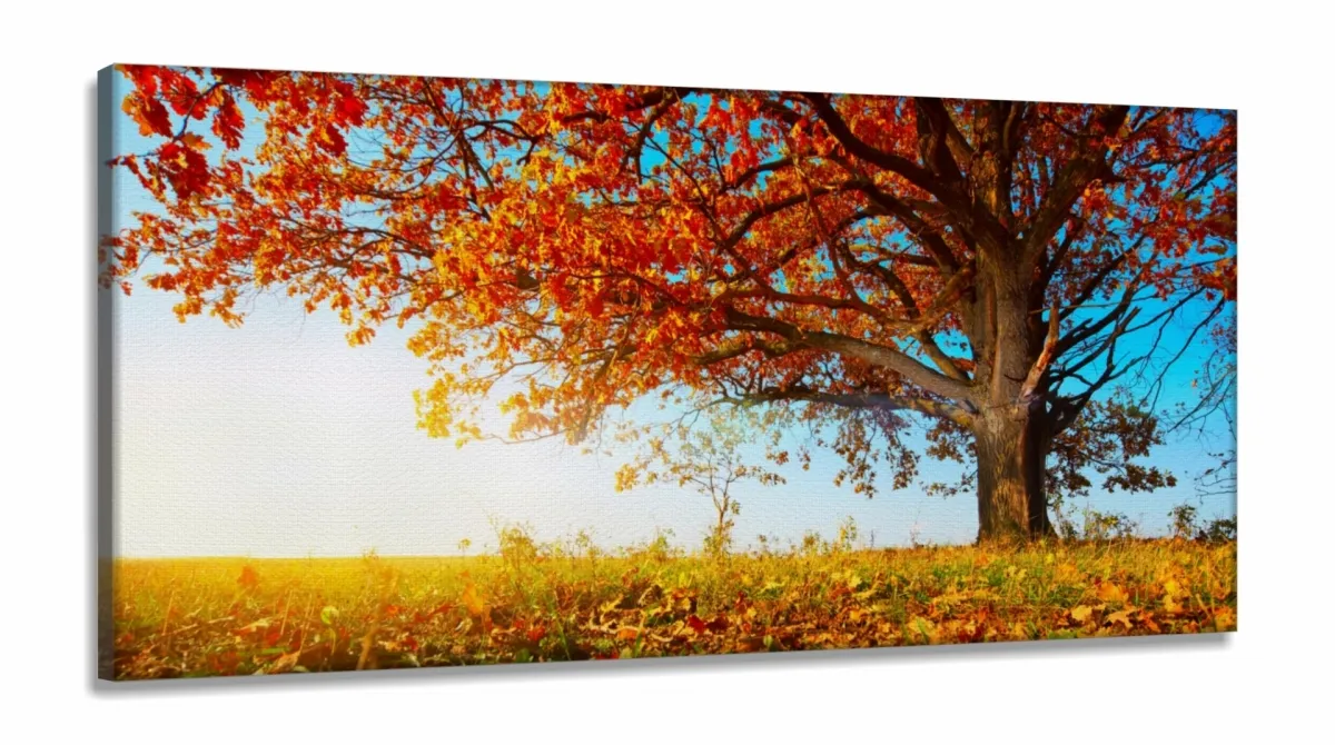 Quadro Decorativo Outono Árvore Céu Azul em Tecido Canvas 130x60 Imagem