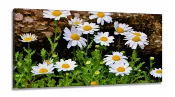 Quadro Decorativo Paisagem Flores Tela em Tecido Canvas 130x60