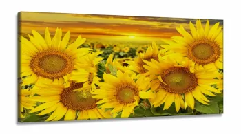 Quadro Decorativos Girassol sala quarto em Tecido Canvas 130x60