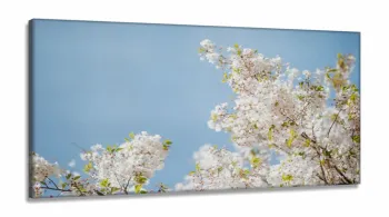 Quadro Flores e Plantas Natureza Paisagem em Tecido Canvas 130x60