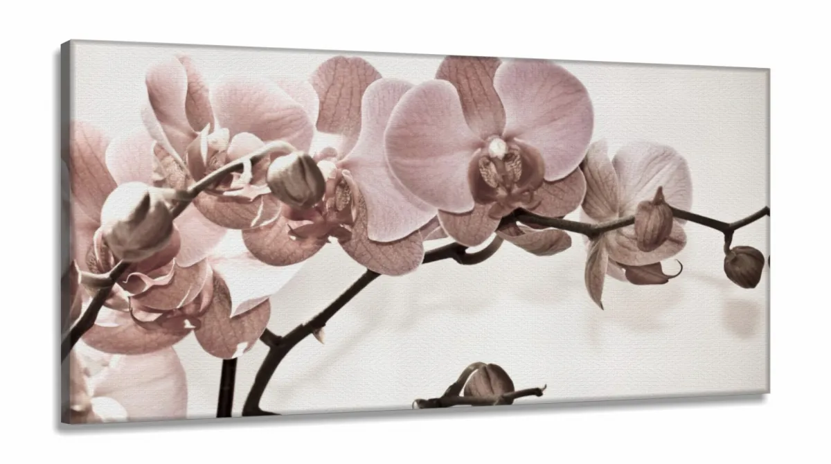 Quadro Flores Orquídeas Para Sala Recepção em Tecido Canvas 130x60 Imagem