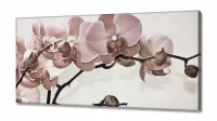 Quadro Flores Orquídeas Para Sala Recepção em Tecido Canvas 130x60 - Foto 2