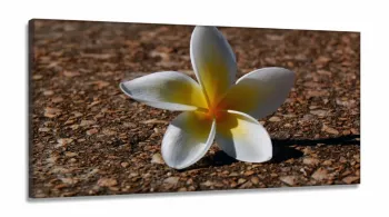Quadro Flores Paisagem Decorativo Com Tela em Tecido Canvas 130x60