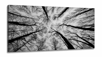 Quadro Moderno Árvores Preto e Branco Para Sala em Tecido Canvas 130x60
