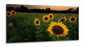 Quadro Mosaico Flores Girassol em Tecido Canvas 130x60 sala quarto