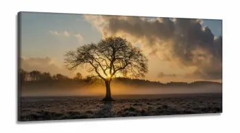 Quadros Decorativos Arvore Por Do Sol em Tecido Canvas 130x60