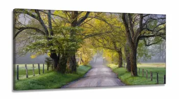 Quadros Decorativos Natureza Paisagem Arvores Sala em Tecido Canvas 130x60