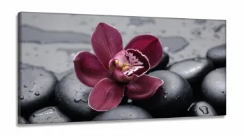 Quadros Decorativos Orquidea Flor Botanico Sala Copa em Tecido Canvas 130x60