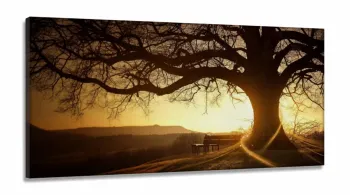 Quadros Decorativos Pôr do Sol Arvore Sala Quarto em tecido canvas 130x60