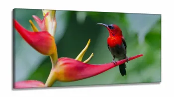 Quadro Decorativo - Paisagem Pássaro - Animais - em Tecido Canvas