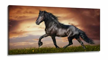Quadro Decorativo Cavalo Artístico Paisagem em Tecido Canvas 130x60