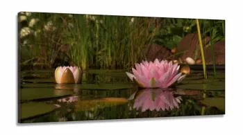 Quadro Decorativo Flores Paisagens Natureza 130x60 em Tecido Canvas