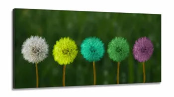 Quadro Decorativo Paisagem Dente de Leão Cores Arte em Tecido Canvas 130x60