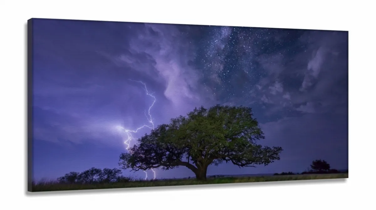 Quadro Decorativo Paisagens Árvore Noturna em Tecido Canvas 130x60 Imagem