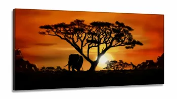 Quadro decorativos África Paisagens em Tecido Canvas 130x60