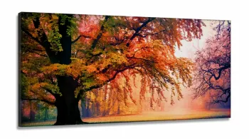 Quadros Decorativos paisagens flores campos florestas em tecido canvas 130x60
