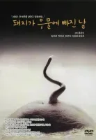 Pacote 25 Hong Sang-soo (apenas as midias) Leg Em Português DVDs - Foto 7