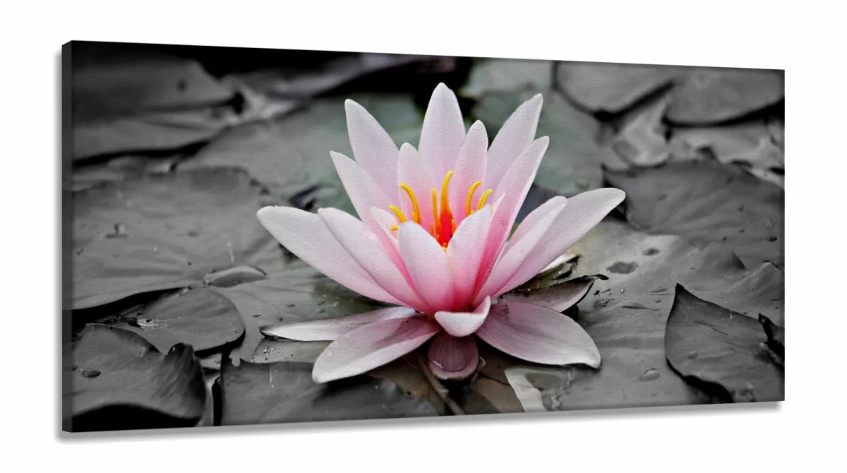 Quadro Água Flor Lírio De Rosa Aquático Mosaico em Tecido canvas 130x60 Imagem