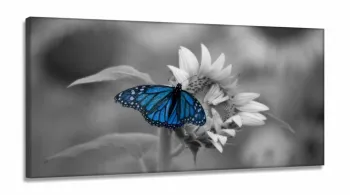 Quadro Decorativo 130x60 Sala Quarto Borboleta em Tecido Canvas