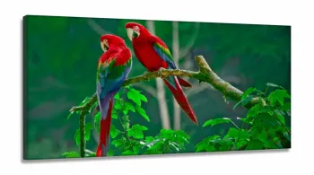Quadro Decorativo 130x60 Sala Quarto Casal Araras Vermelhas em Tecido Canvas