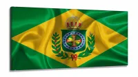 Quadro Decorativo Bandeira Brasil Império 130x60 em Tecido Canvas