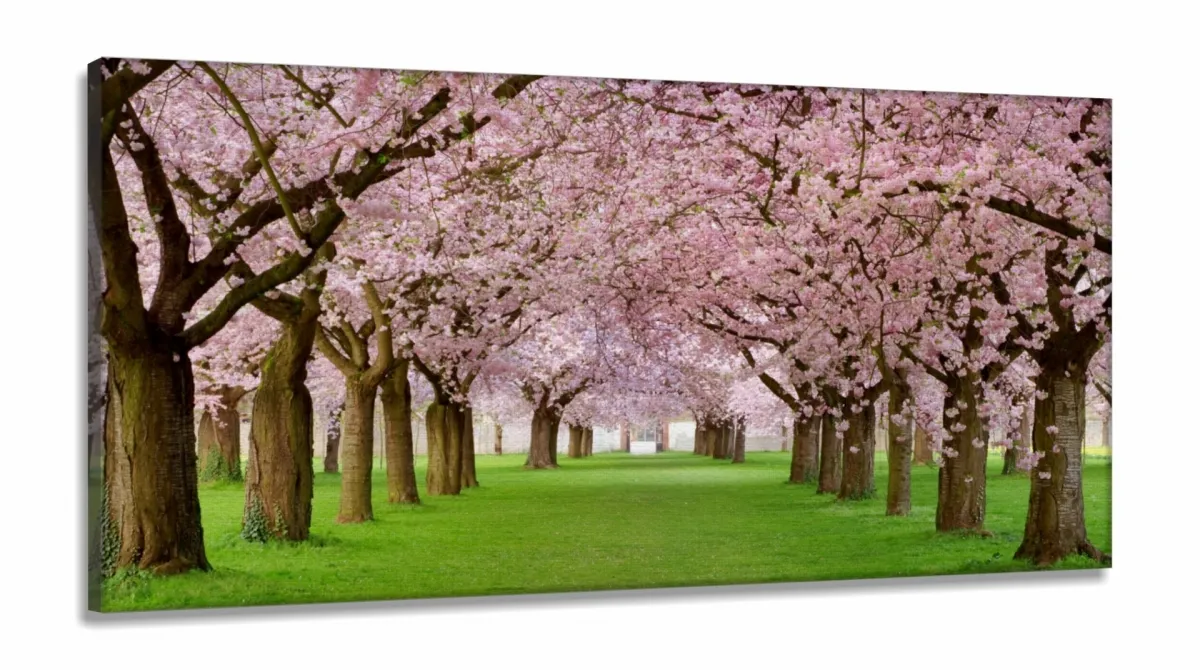 Quadro Decorativo Caminho De Cerejeiras 130x60 Sala Quarto em Tecido Canvas Imagem