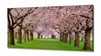 Quadro Decorativo Caminho De Cerejeiras 130x60 Sala Quarto em Tecido Canvas - Foto 2