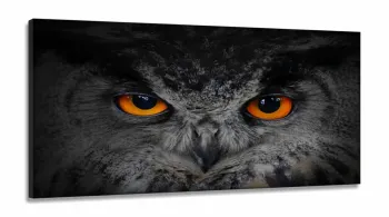 Quadro Decorativo Coruja em Tecido Canvas 130x60 em tecido