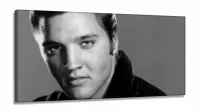 Quadro Decorativo Elvis Presley - Retrô - em Tecido Canvas  130x60