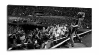 Quadro decorativo Foo Fighters Show - em Tecido Canvas  130x60