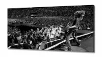 Quadro decorativo Foo Fighters Show - em Tecido Canvas  130x60 - Foto 2