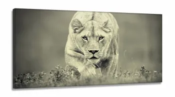Quadro Decorativo Leoa Sala Em Tecido em tecido canvas 130x60