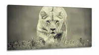 Quadro Decorativo Leoa Sala Em Tecido em tecido canvas 130x60
