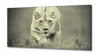 Quadro Decorativo Leoa Sala Em Tecido em tecido canvas 130x60 - Foto 2
