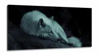 Quadro Decorativo Lobo Deitado em tecido canvas 130x60