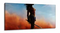 Quadro Decorativo Mulher Maravilha em Tecido Canvas 130x60