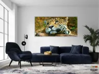 Quadro Decorativo Onça Pintada em Tecido Canvas 130x60 - Foto 5