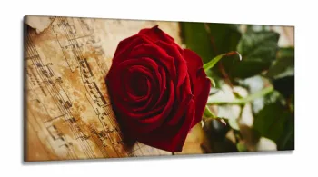 Quadro Decorativo Rosa Vermelha Música em Tecido Canvas 130x60