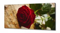 Quadro Decorativo Rosa Vermelha Música em Tecido Canvas 130x60 - Foto 2