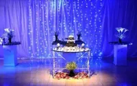 Cortina 300 Led 3x2M - 3 Metros por 2 metros  - Foto 2