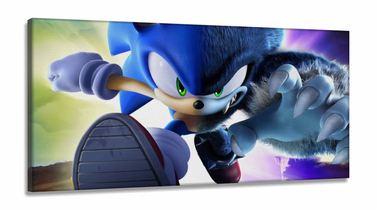 Quadro Decorativos Sonic em Tecido Canvas 130x60 Imagem