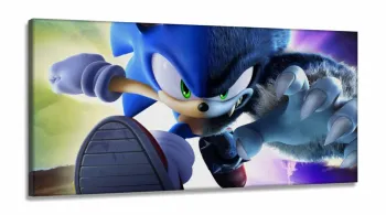 Quadro Decorativos Sonic em Tecido Canvas 130x60