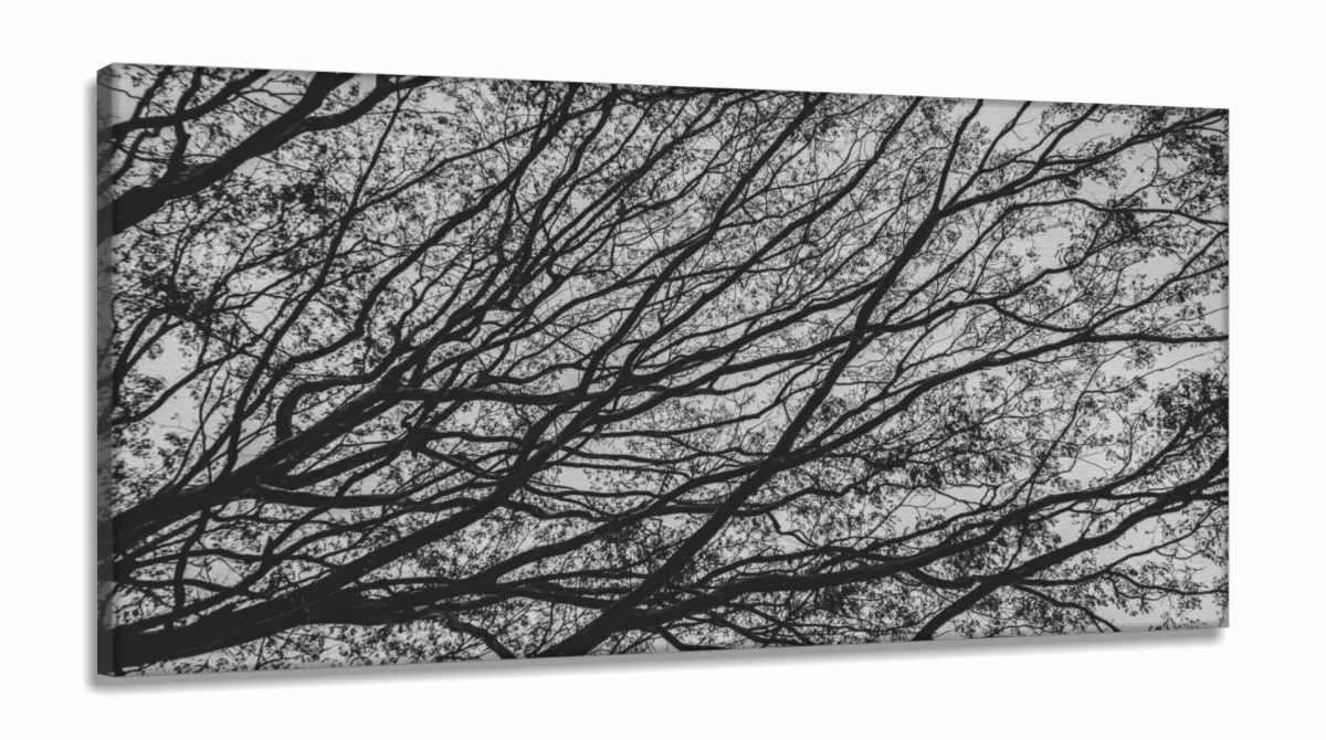 Quadro Galhos Secos Caindo em Preto e Branco Jogoem Tecido Canvas 130x60 Imagem