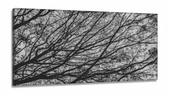 Quadro Galhos Secos Caindo em Preto e Branco Jogoem Tecido Canvas 130x60