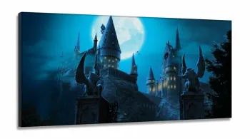 Quadro Hogwarts Castel Harry Potter Com Tela em Tecido Canvas 130x60