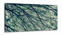Quadro Mosaico Vertical Galhos Secos Natureza Decorativo em Tecido Canvas 130x60