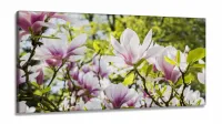 Quadro Planta Flor Magnólia Natureza Artístico em Tecido Canvas 130x60